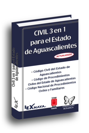 Civil 3 en 1 de Aguascalientes